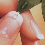pic2.gif, 18 KB